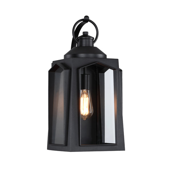 Outdoor Wall Light with Clear Glass and Black Finish