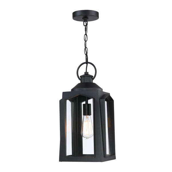 1-Light Matte Black Outdoor Pendant Light with Clear Glass Shade