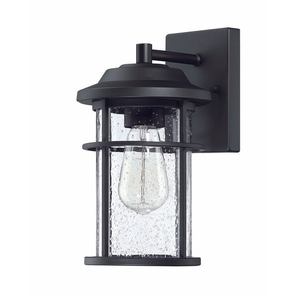 Outdoor Wall Light with Seeded Glass Shade